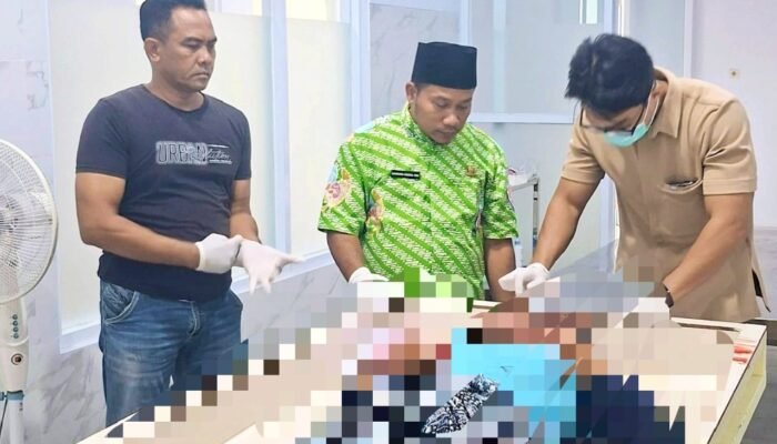 Peristiwa Tragis di Lamongan, Anak Tewas Diduga Dianiaya Ayah