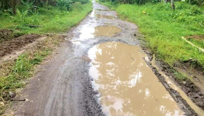 Bertahun-tahun Rusak, Jalan Menuju Pantai Sowmil Wonosobo Tanggamus Dibiarkan