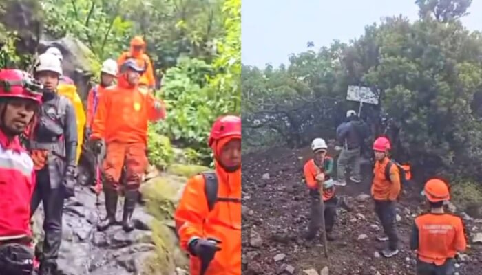 Basarnas Perluas Penyisiran Gunung Slamet, Nasib Pendaki Asal Magelang Masih Misteri