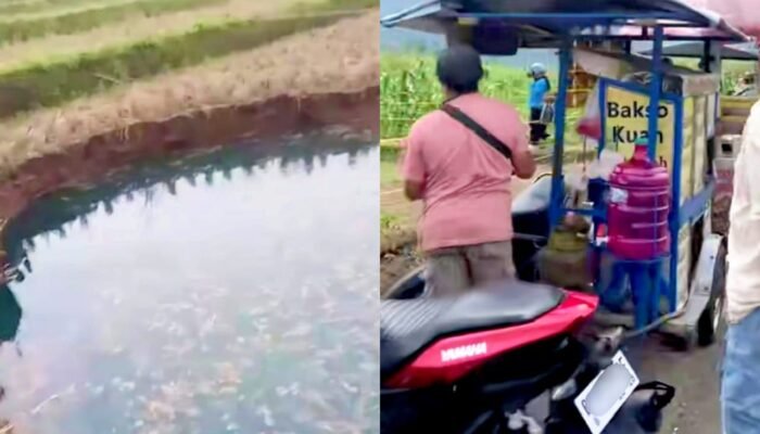 Viral, Sinkhole di Persawahan Sumatera Barat Jadi Tontonan Warga