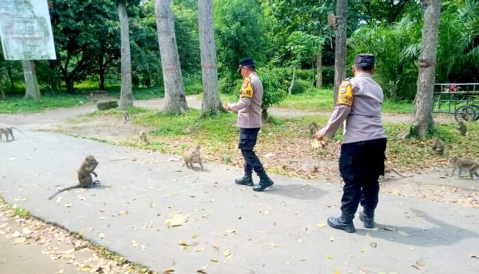 Patroli Polsek Puncu Sapa Wisatawan Alas Simpenan Kediri