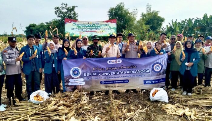 Kolaborasi TNI dan Mahasiswa Unair Warnai Panen Jagung di Babat Lamongan