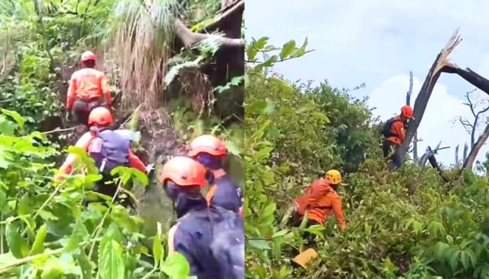 Pendaki Hilang di Gunung Slamet Belum Ditemukan, Pencarian Mandiri Dibuka