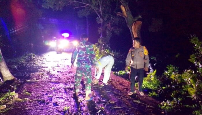 Kabel Putus dan Pohon Tumbang, Polisi Karanggeneng Lamongan Gerak Cepat Amankan Jalur
