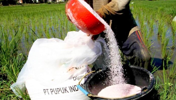 Bojonegoro Dapat Tambahan Pupuk Subsidi Urea dan NPK