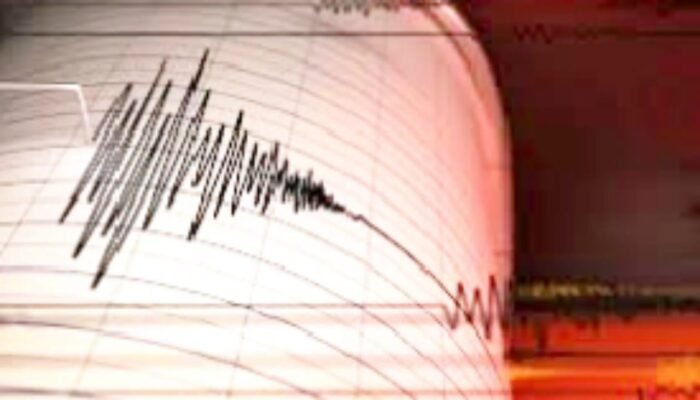 Papua Hingga Lampung Diguncang Gempa, Ini Data Resmi BMKG