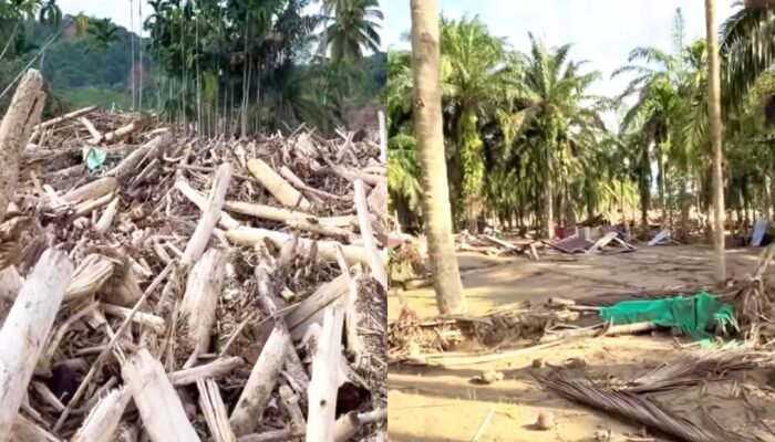 Dusun Sijantung Disebut Desa yang Hilang Usai Banjir Bandang Aceh Tamiang