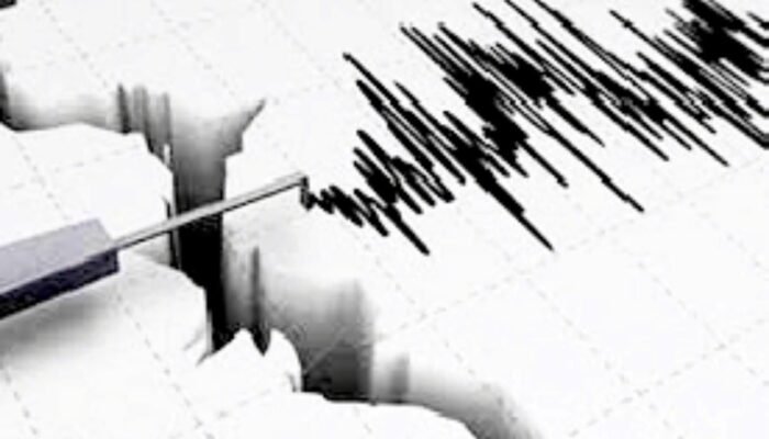 BMKG Catat Rentetan Gempa Guncang Indonesia Dalam Sehari