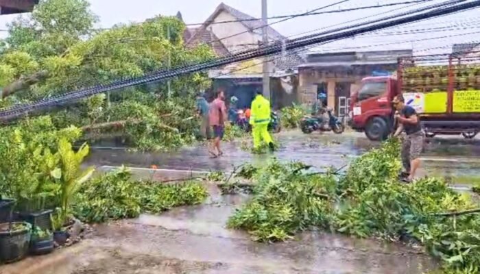 Aksi Sigap Polisi Lamongan Tangani Pohon Tumbang di Tikung dan Ngimbang