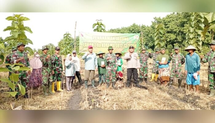 Aksi Nyata TNI di Lamongan: Tanam Jagung Demi Swasembada Pangan