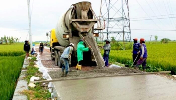 Dari Pematang Sawah ke Jalan Beton, Desa Selorejo Bojonegoro Kini Istimewa