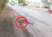 Ngeri, Jalan Baureno Bojonegoro Penuh Lubang, Pengendara Terjatuh hingga Meninggal