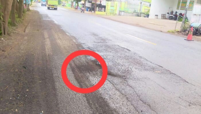 Ngeri, Jalan Baureno Bojonegoro Penuh Lubang, Pengendara Terjatuh hingga Meninggal