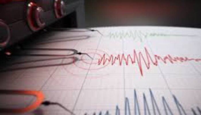 Indonesia Diguncang Gempa Beruntun, NTT hingga Sulawesi Alami Getaran