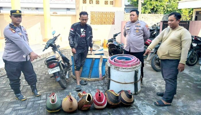 Sabung Ayam di Sawah Lamongan Bubar Digeruduk Polisi