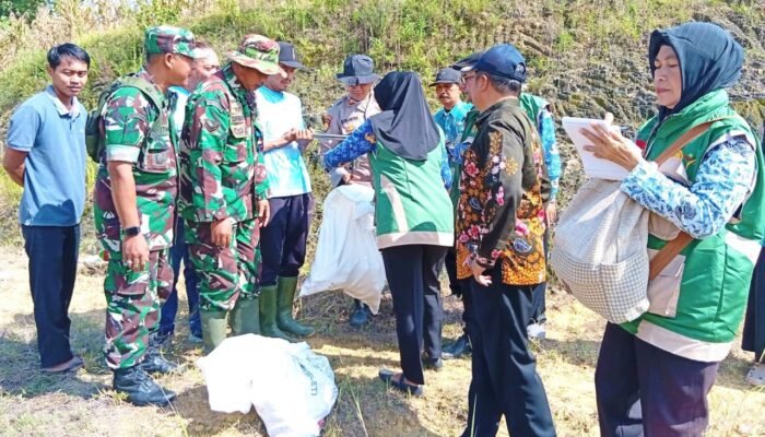 Panen Raya Jagung Ngimbang Lamongan, Hasilnya Menggembirakan