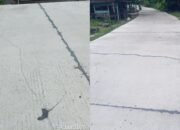 Baru Selesai Dibangun, Jalan Beton Sidomukti Kepohbaru Bojonegoro Sudah Ditambal di Banyak Titik