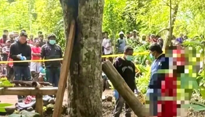 Hanya Ingin Buku dan Pena, Bocah SD di Ngada Bunuh Diri