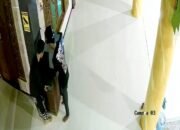 Kotak Amal Masjid di Sukosewu Bojonegoro Digasak Maling, Rekaman CCTV Viral
