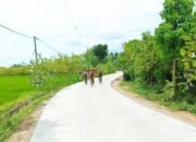 BKKD 2025 Wujudkan Jalan Beton Desa Mojo Kalitidu Bojonegoro, Petani Jambu dan Padi Diuntungkan