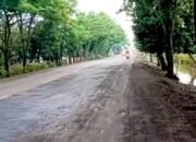 Ruas Jalan Nasional Bojonegoro Lamongan Rawan Kecelakaan, Warga Minta Segera Diperbaiki