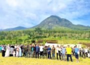 Aksi Nyata, PPA BIRR dan Santri Tanam Ratusan Pohon di Gunung Panderman Kota Batu