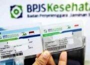 Jangan Sampai Nunggak, Update Status BPJS Saat Resmi Bekerja