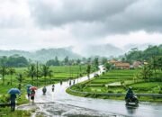 Update Cuaca Bojonegoro Hari Ini: Pagi Cerah, Siang Diguyur Hujan