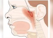 Dampak Rokok pada Indra Penciuman, Dokter Ungkap Fakta