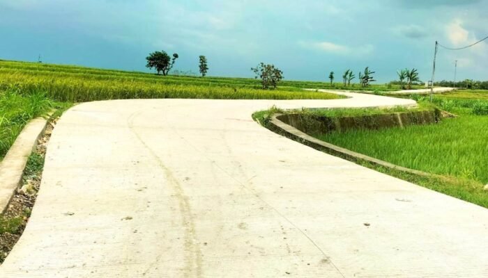 BKKD Bojonegoro Tepat Sasaran, Jalan Baru di Desa Gayam Dongkrak Ekonomi Warga