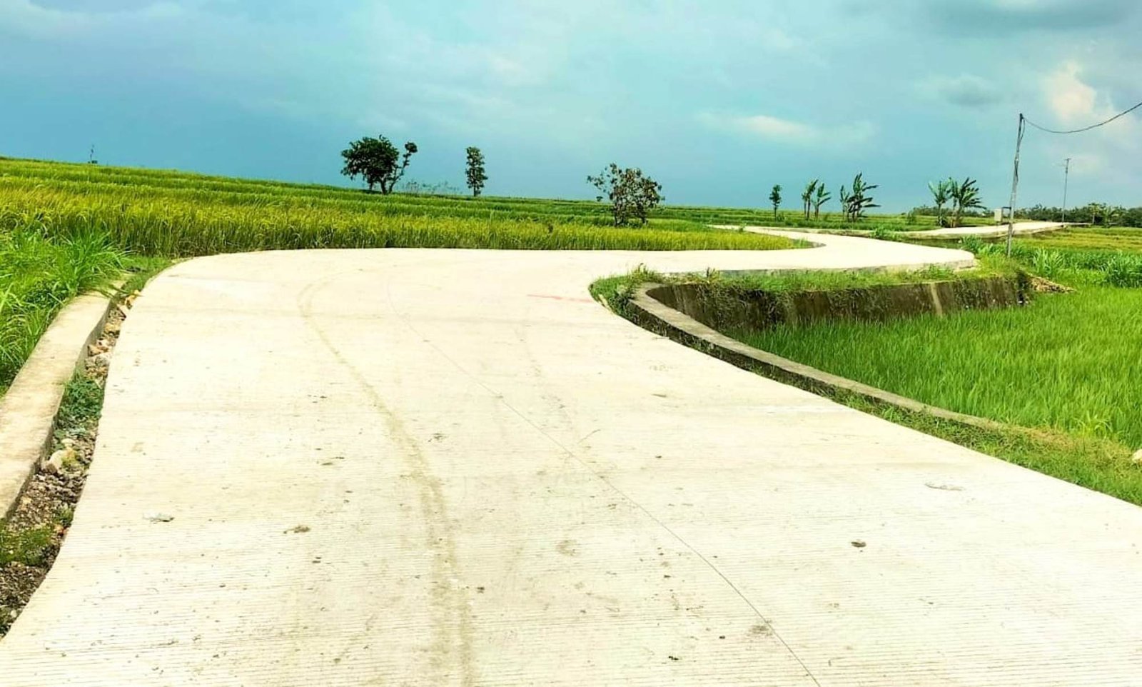 IMG 20260203