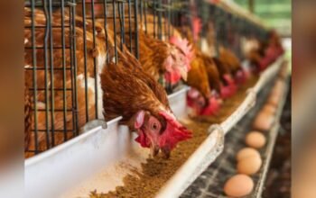 Screenshot 20260218 235109 copy 1280x787