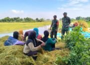 Sawah Gempoltukmloko Lamongan Dikawal TNI, Ketahanan Pangan Aman