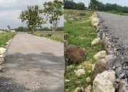 Cuma 3 Cm, Warga Margoagung Sumberrejo Bojonegoro Protes Keras Proyek Aspal BKKD yang Diduga Asal Jadi