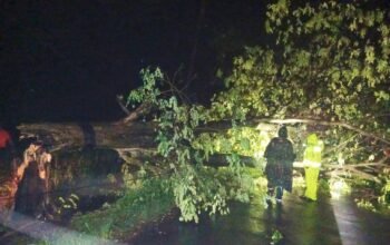 Respon Kilat Call Center 110: Polisi dan Warga Lamongan Kompak Babat Pohon Tumbang di Bluluk