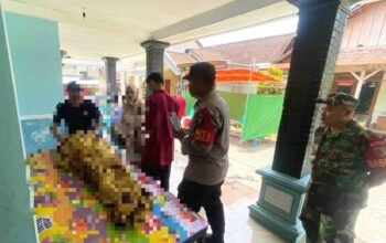 Kronologi Petani Lansia Bojonegoro Meninggal Saat Bekerja di Sawah