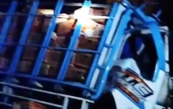 Diduga Lengah, Truk Isuzu Tabrak Pohon di Jalur Bojonegoro–Nganjuk