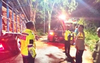 Kronologi Truk Ayam Tabrak Pohon di Bubulan Bojonegoro, Sopir Selamat