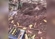 Warga Pergoki Pembongkaran Makam Sumberarum Dander Bojonegoro Tengah Malam, Pelaku Langsung Kabur