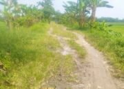 Jalan Licin dan Berbahaya Saat Hujan, Warga Ngemplak Baureno Bojonegoro Mengeluh