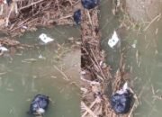 Sungai Kepohbaru Bojonegoro Tercemar, Aksi Buang Sampah Dapur SPPG Brangkal 3 Terekam Kamera Warga