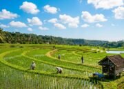 Prakiraan Terbaru: Cuaca Cerah Dominasi Bojonegoro