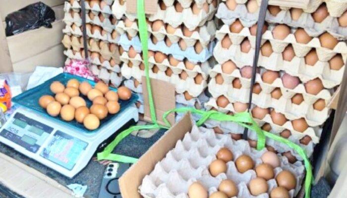 Gerakan Baru Pemkab Bojonegoro: Beli Telur Lokal, Peternak Untung