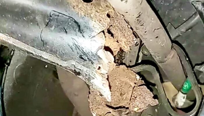 Kualitas Dipertanyakan, Motor Honda 2019 di Bojonegoro Ini Alami Keropos