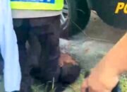 Aksi Pencurian di Kanor Bojonegoro Gagal Total, Pelaku Terjatuh dari Cerobong