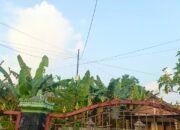 Cuaca Bojonegoro Hari Ini Didominasi Cerah