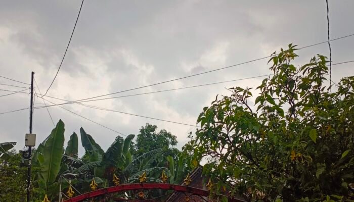Pagi Cerah Sore Hari Bojonegoro Berpotensi Hujan Lebat