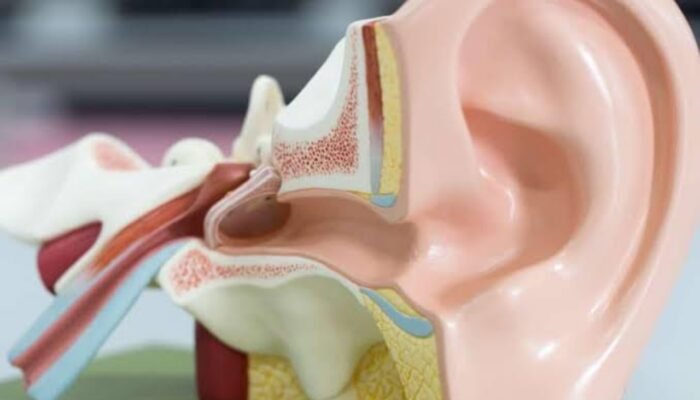 Telinga Tak Bisa Diganti, Dokter Bongkar Kebiasaan Sepele Penyebab Tuli