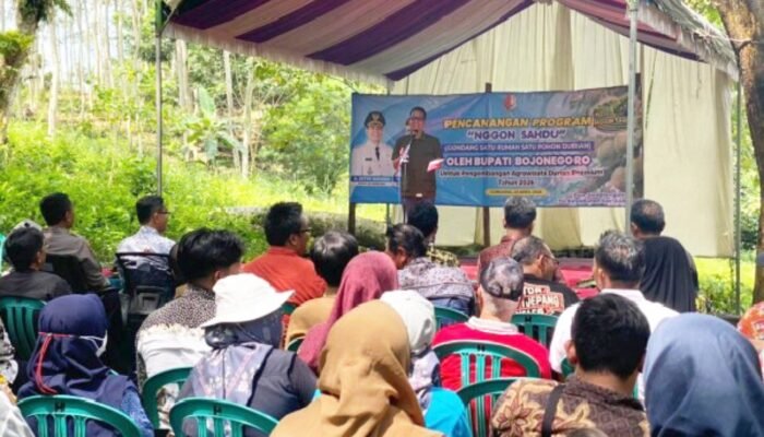 Nggon Sahdu Diluncurkan, Gondang Bojonegoro Incar Agrowisata Durian Kelas Atas