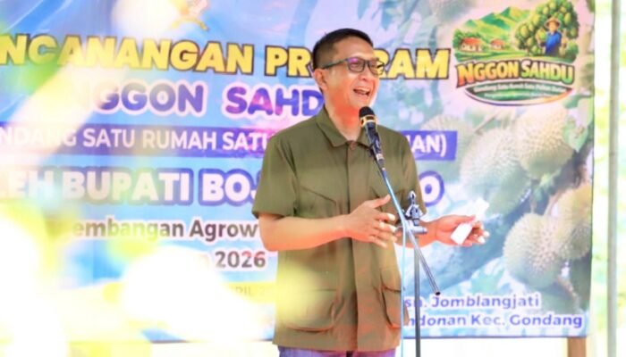 Program Nggon Sahdu: Warga Gondang Bojonegoro Tanam Durian Siap Panen Cuan
